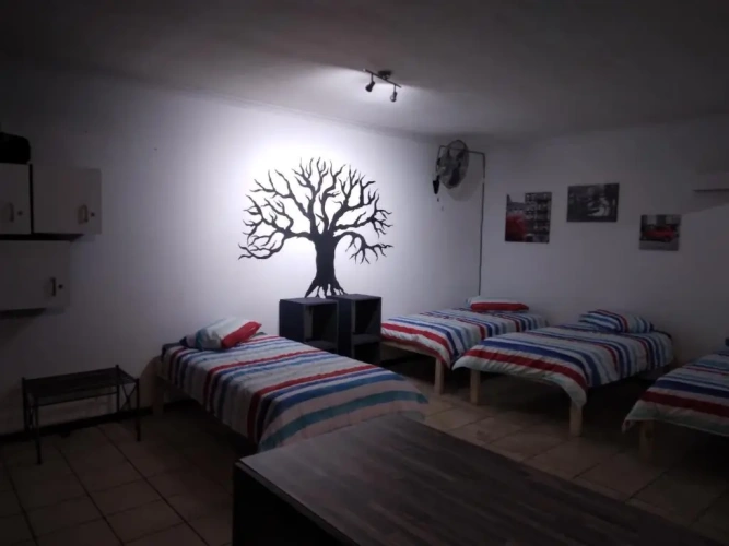Bed in Dorm