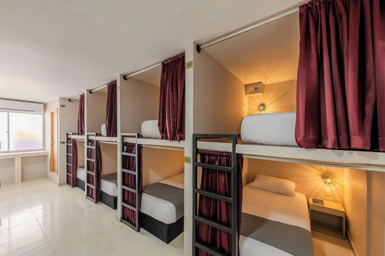 1 Bedroom Standard Family room