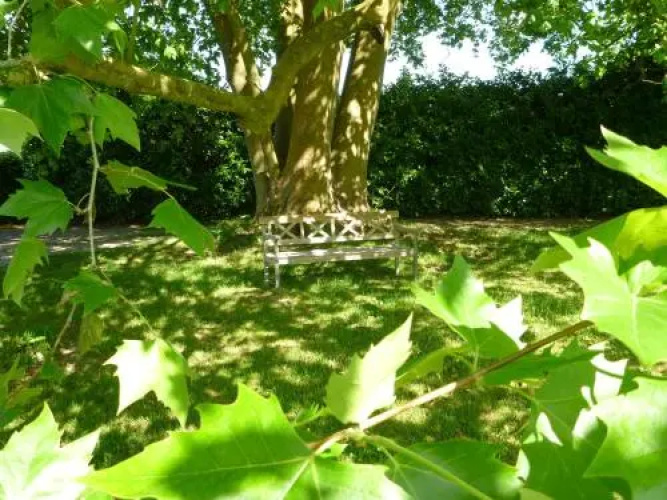 Domaine du Papillon