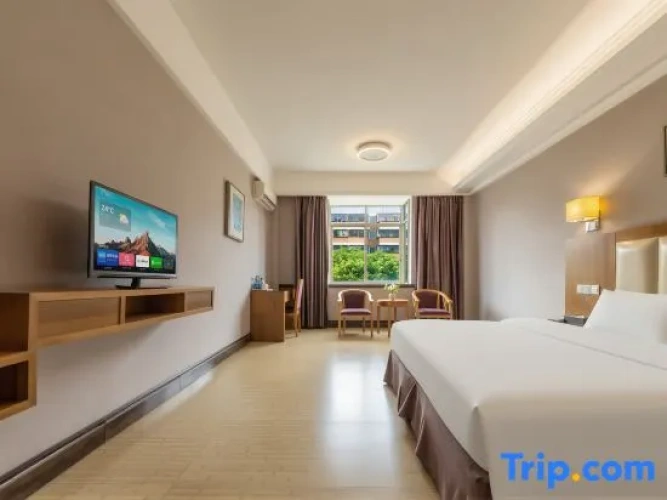Standard Twin room with city view