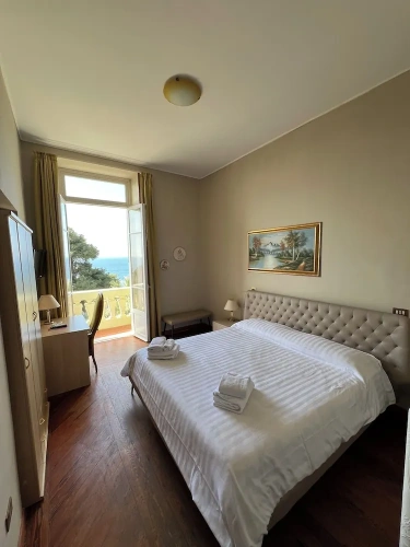Standard Double room with balcony and with sea view