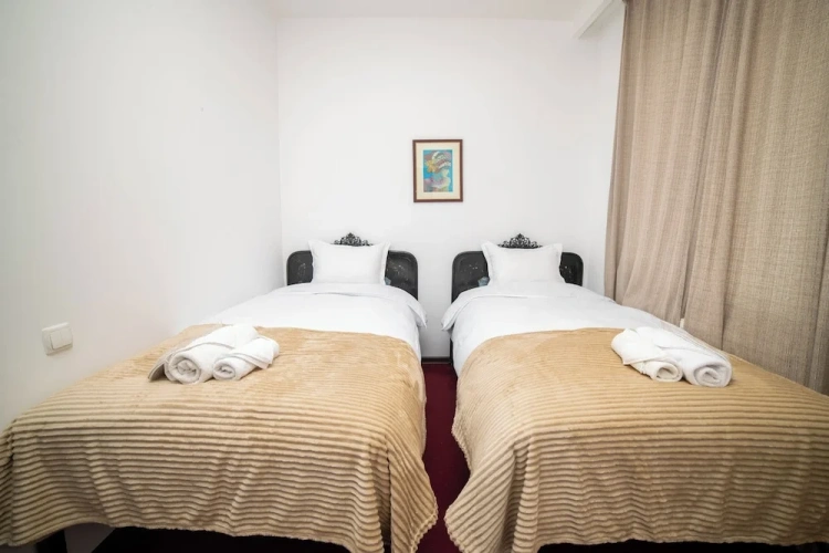 Standard Twin room with balcony and with city view