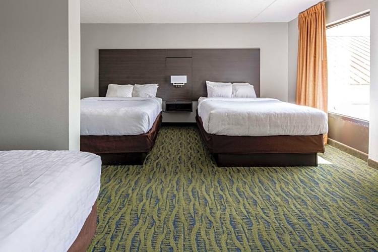 Standard Sextuple room