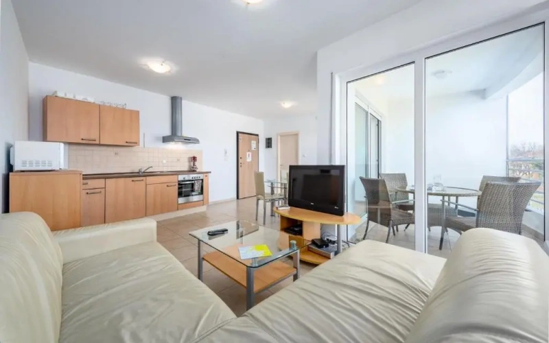 1 Bedroom Apartment