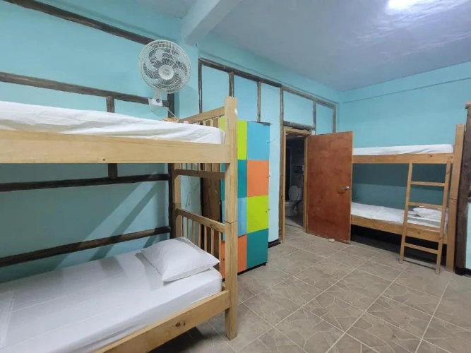 Bed in Dorm