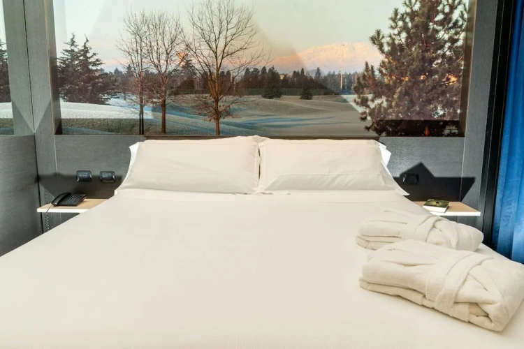 1 Bedroom Standard Double room with garden view