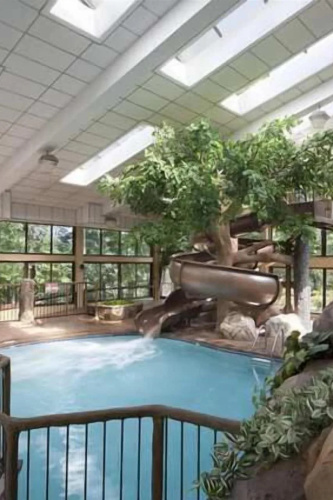 The Park Vista A Doubletree By Hilton Hotel Gatlinburg photo 13