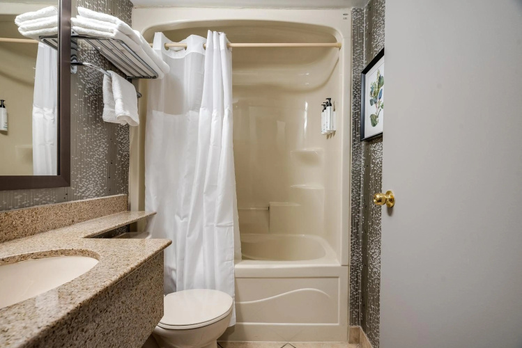 Monte Carlo Inn Toronto West Suites photo 11