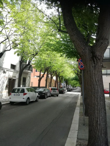 B&B Dei Tigli
