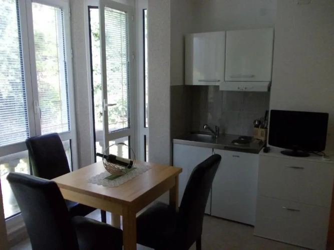 Studio with balcony and with garden view