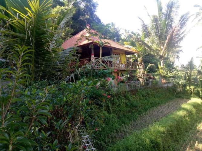 Standard Double room with garden view