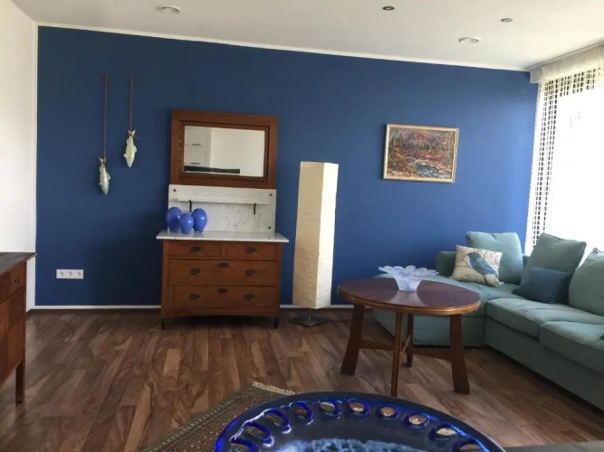 Double Basement Apartment