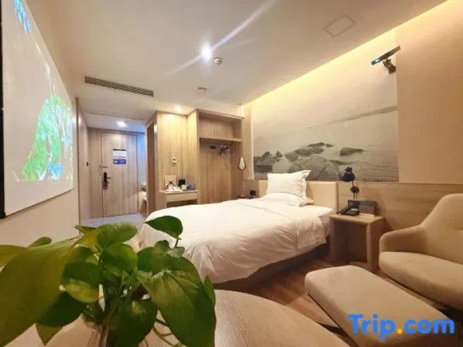 Standard Double Family room