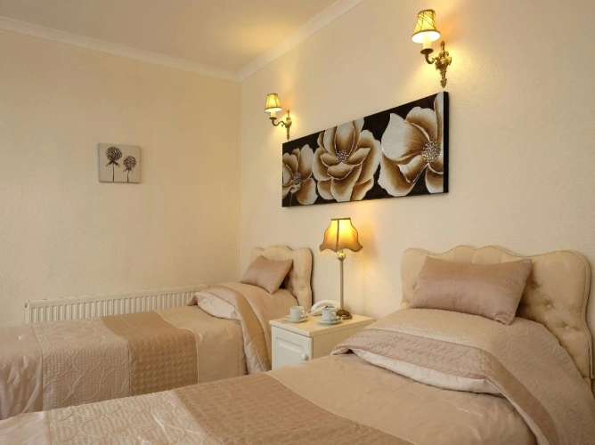 Classic Twin room