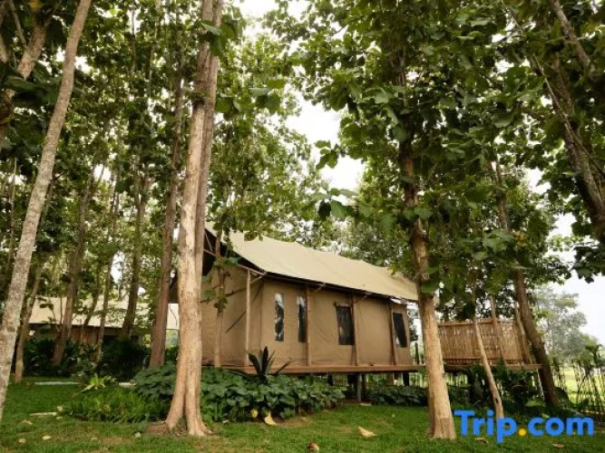 Tantawan Tented Camp by Dusit, Chiang Rai