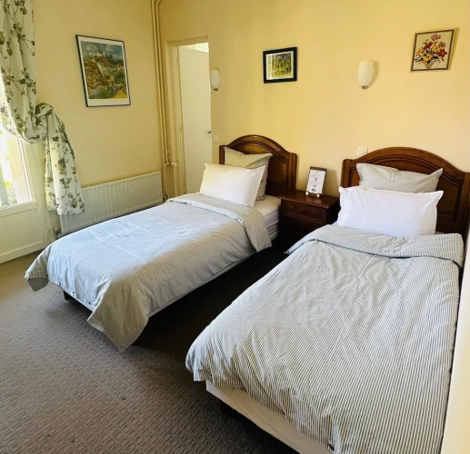 Deluxe Twin room with pool view