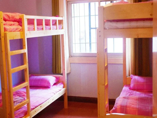 Sunflower Youth Hostel