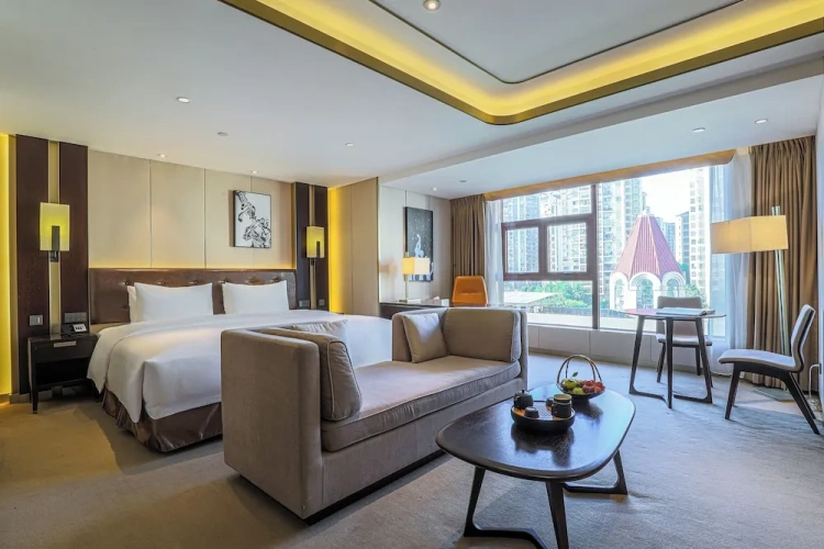 Luxury Single room