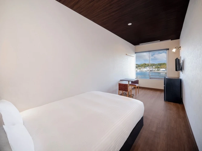 Standard Double room with lake view