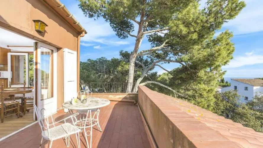 1 Bedroom Studio