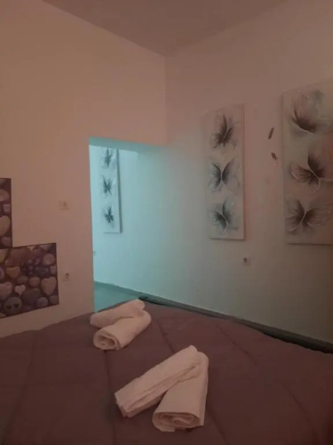 Evis Rooms