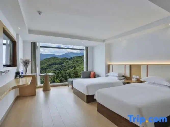 Standard Twin room with view