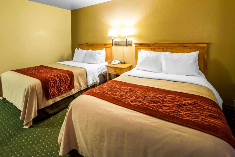 Standard Quadruple room