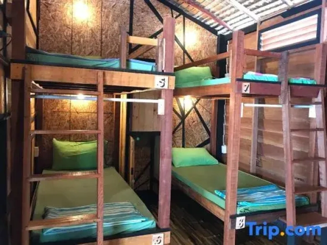 Bed in Dorm