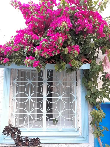 Alacati Frida Butik Otel