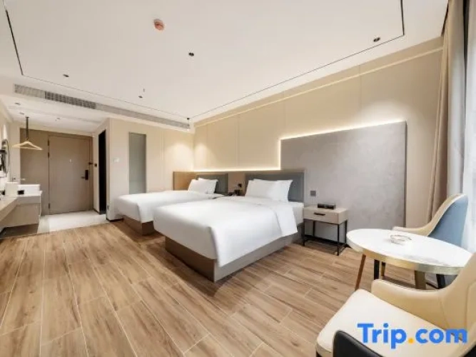 Superior Twin room with city view