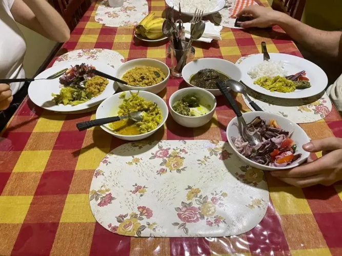 Olivia HomeStay