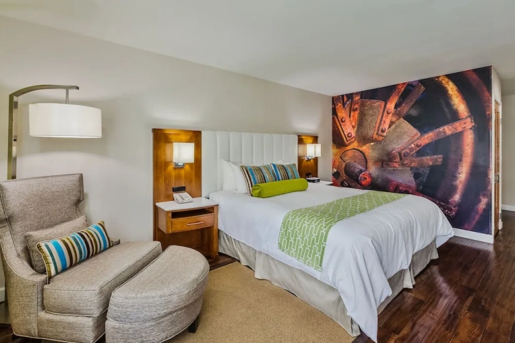 1 Bedroom Suite