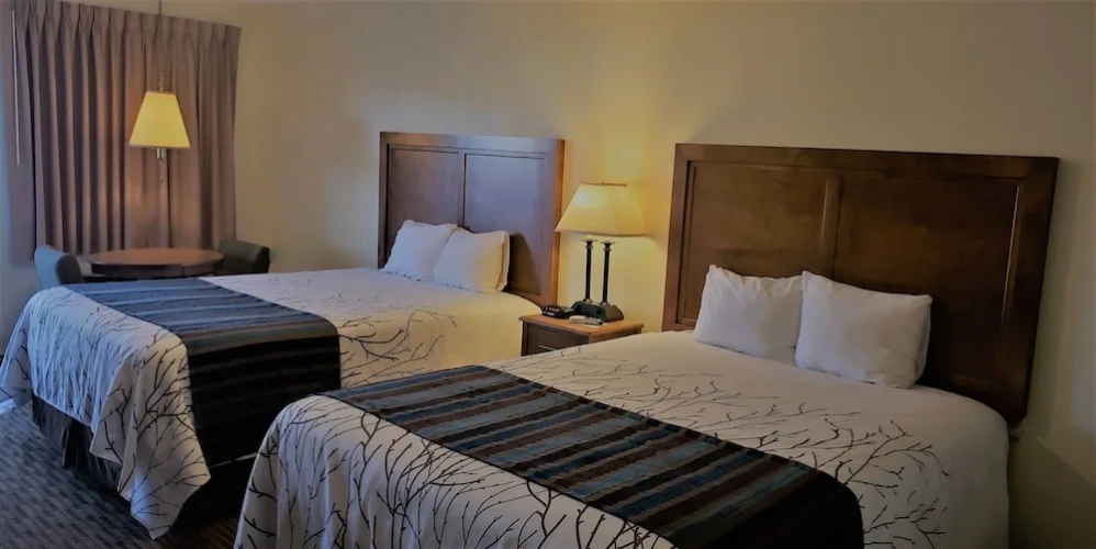 1 Bedroom Standard room