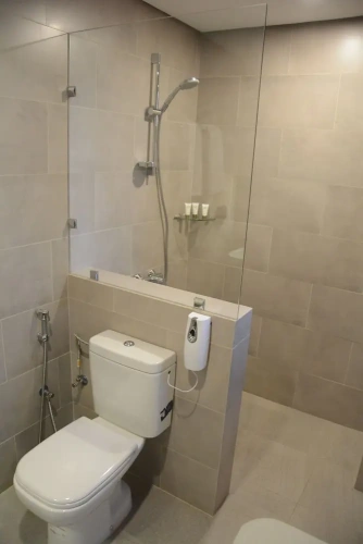 1 Bedroom Deluxe Apartment with city view