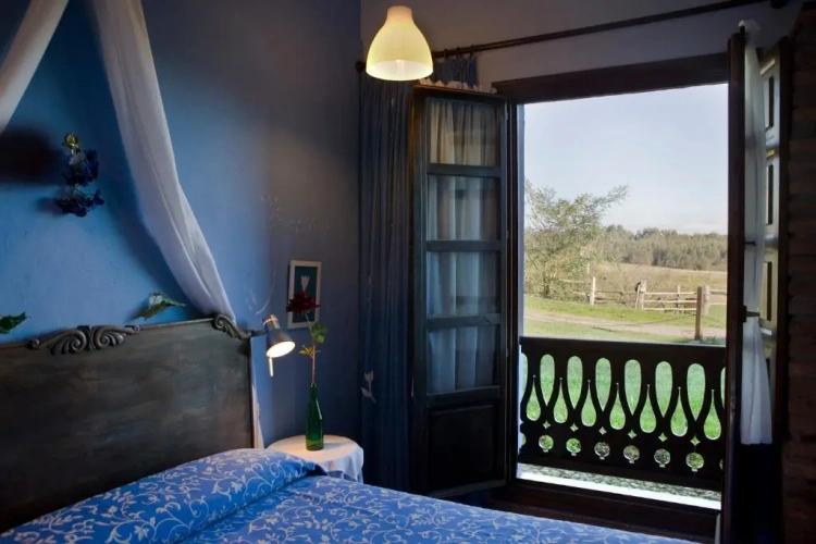 Standard Double room with garden view