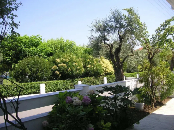 Danae Hotel