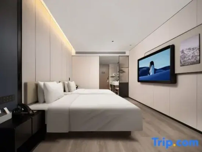 Executive Twin room
