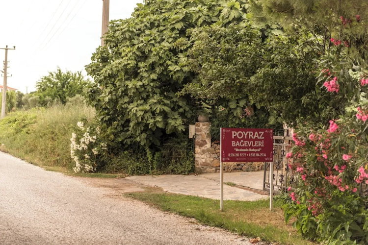Poyraz Bağ Evleri