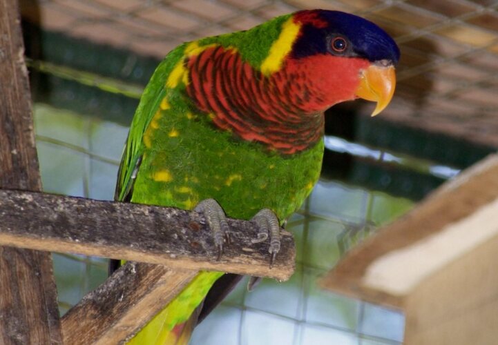 Paradise Island Park & Beach ResortOver view