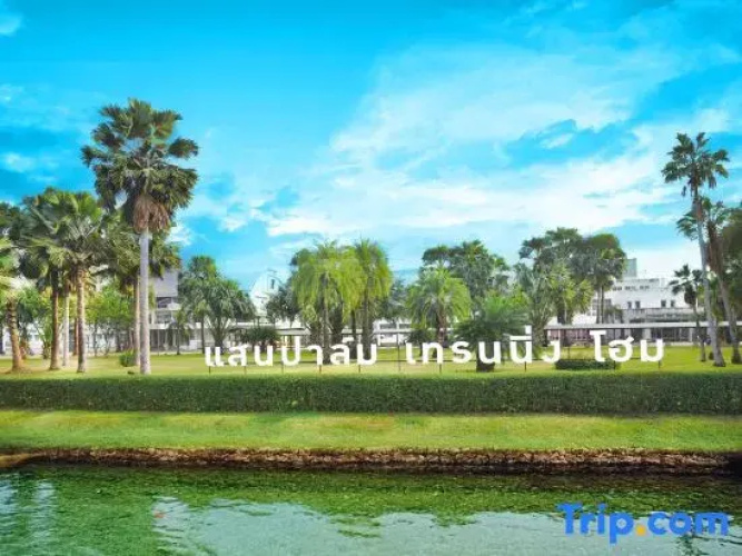 Saenpalm training home