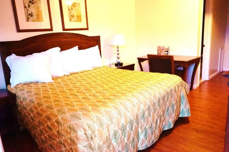 Standard Double room with balcony and with view