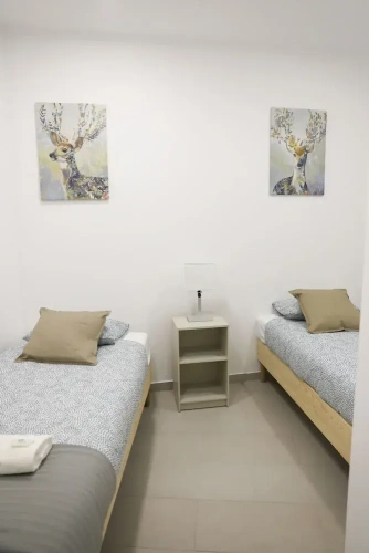 Economy Apartment