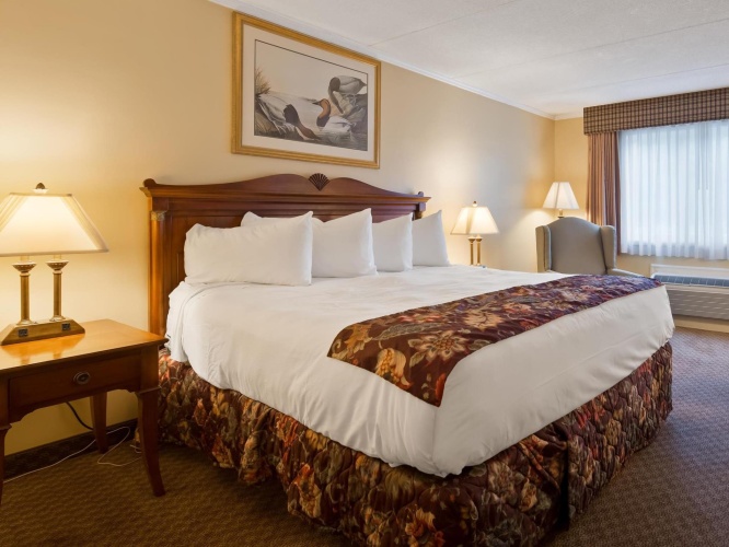 Standard Double room