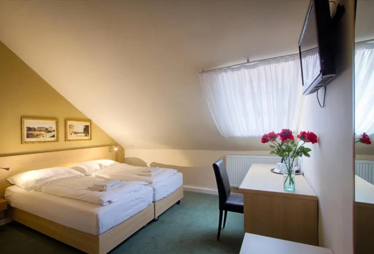 Economy Double Attic room