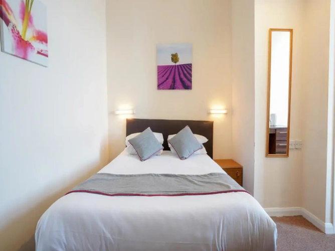 Standard Double room with balcony and with view