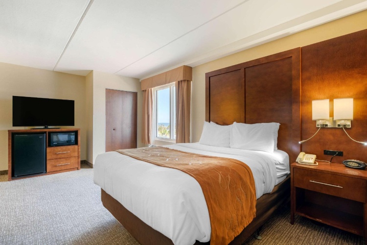 Quadruple Suite