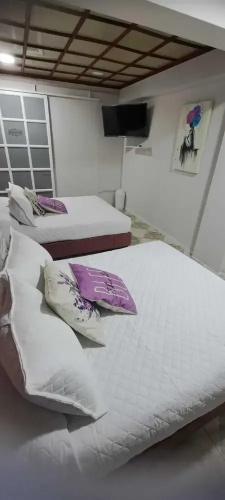 Suites del Valle Narvarte