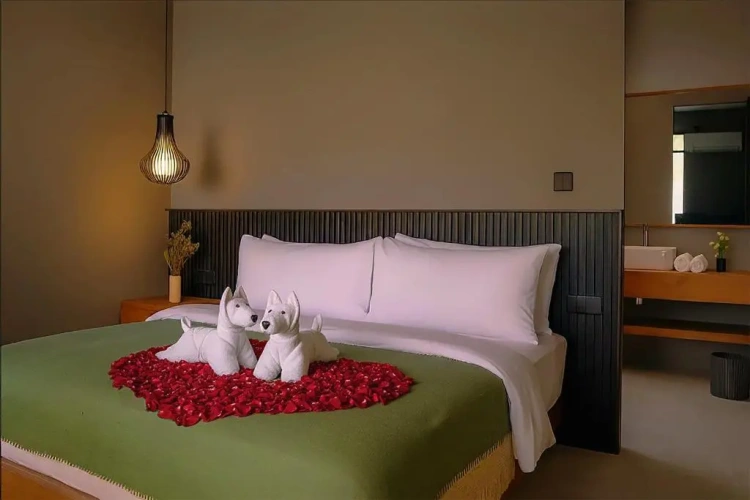 1 Bedroom Luxury room