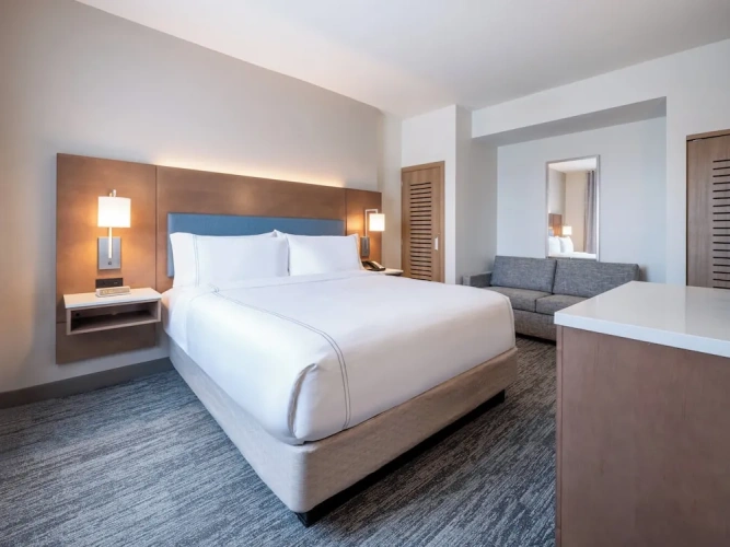 1 Bedroom Suite