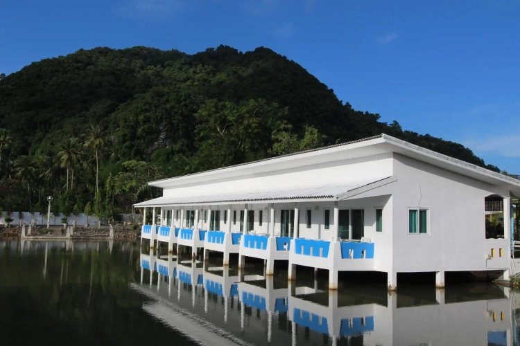Deluxe Double room with balcony and with view